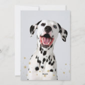 水の色いけなおもしろいドッグフォトクリスマスを定義 シーズンカード (裏面)