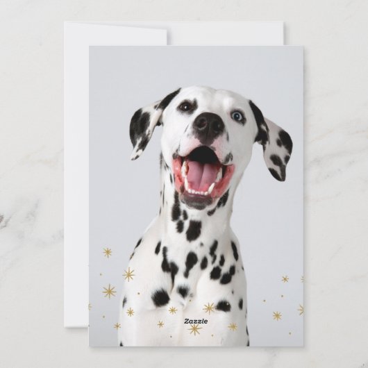 水の色いけなおもしろいドッグフォトクリスマスを定義 シーズンカード (裏面)