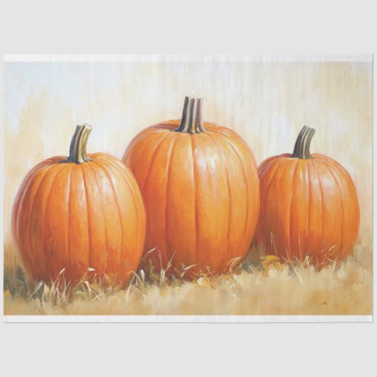 水の色かぼちゃのトリオデコページ 薄葉紙 (正面)