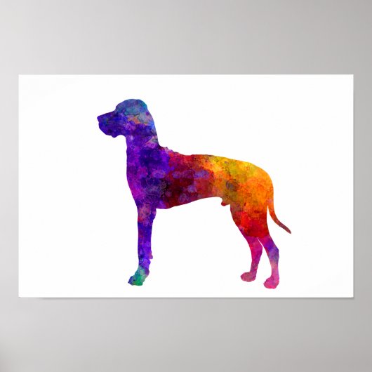 水の色でグレートダン01-2 ポスター (正面)