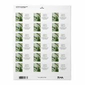 水の色のアドレスの渓谷の葉のリリー ラベル (フルシート)