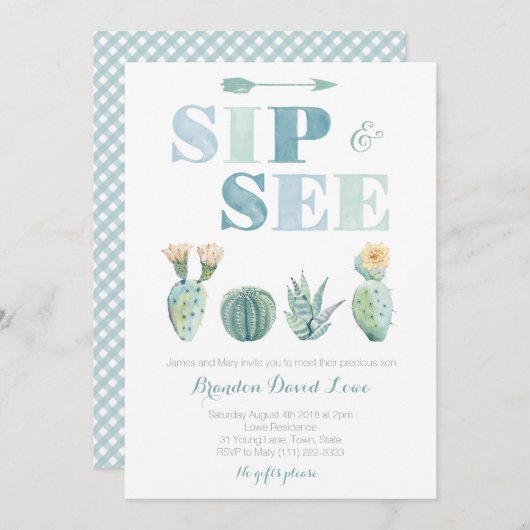 水の色のサボテン、ギンガムの少年のためにsipと見る 招待状 (正面/裏面)