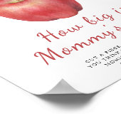 水の色のリンゴ – どのように大きいママの腹のゲーム ポスター (角)