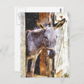 水の色のロバ ポストカード (正面/裏面)