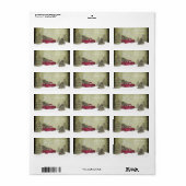 水の色の冬のシーン赤いトラック喜び休日 ラベル (フルシート)