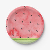 水の色の夏の1メロンレッドスイカ ペーパープレート (正面)