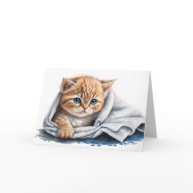 水の色の子猫が元気に