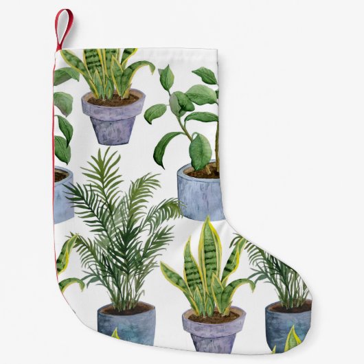 水の色の屋内ハウスプラント：緑豊かなエレガ スモールクリスマスストッキング (正面)