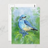 水の色の山ブルーバードブルーバードアート ポストカード (正面/裏面)