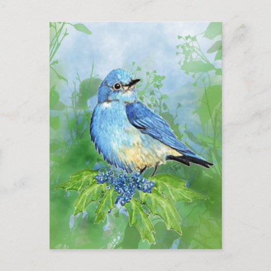 水の色の山ブルーバードブルーバードアート ポストカード (正面)
