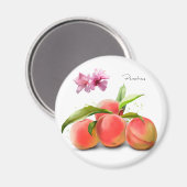 水の色の桃と絵画はね マグネット (正面/裏面)