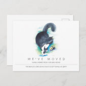 水の色の猫の新しい家の動き発表 ポストカード (正面/裏面)