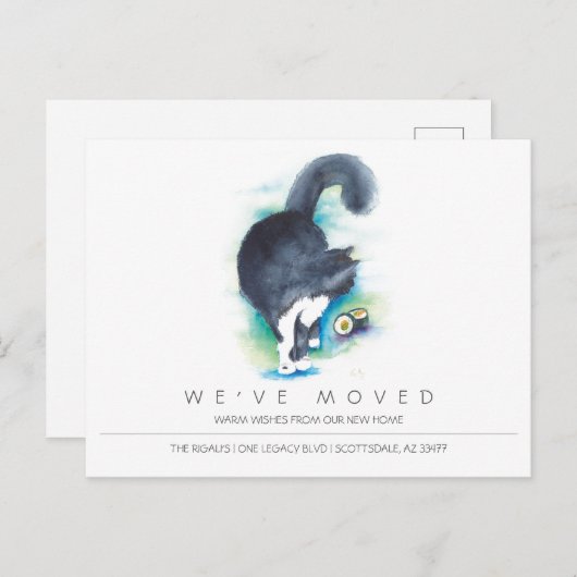 水の色の猫の新しい家の動き発表 ポストカード (正面/裏面)