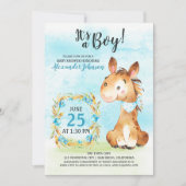 水の色の男の子の馬ベビーシャワーファーム招待状 招待状 (正面)
