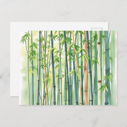 水の色の穏やかな竹林 ポストカード (正面/裏面)