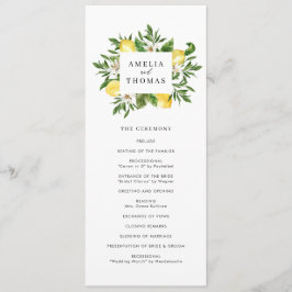 水の色の緑とレモ結婚ンの儀式 プログラム