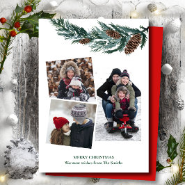 水の色の緑の素朴緑の松の円錐枝 シーズンカード