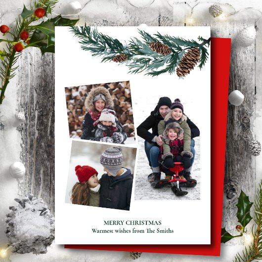 水の色の緑の素朴緑の松の円錐枝 シーズンカード