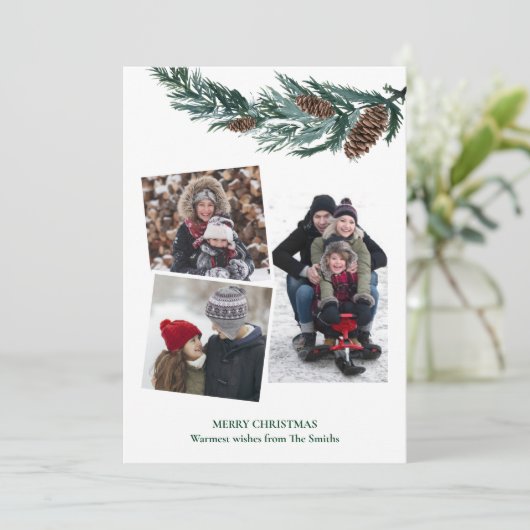 水の色の緑の素朴緑の松の円錐枝 シーズンカード (スタンド正面)