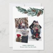 水の色の緑の素朴緑の松の円錐枝 シーズンカード (正面)