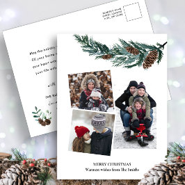 水の色の緑の素朴緑の松の円錐枝 シーズンポストカード