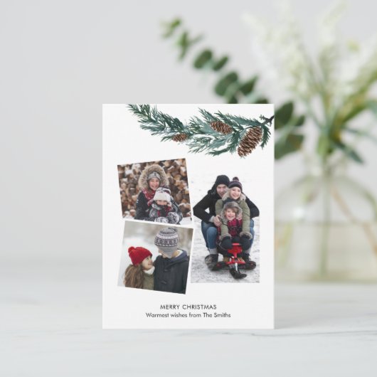 水の色の緑の素朴緑の松の円錐枝 シーズンポストカード (スタンド正面)