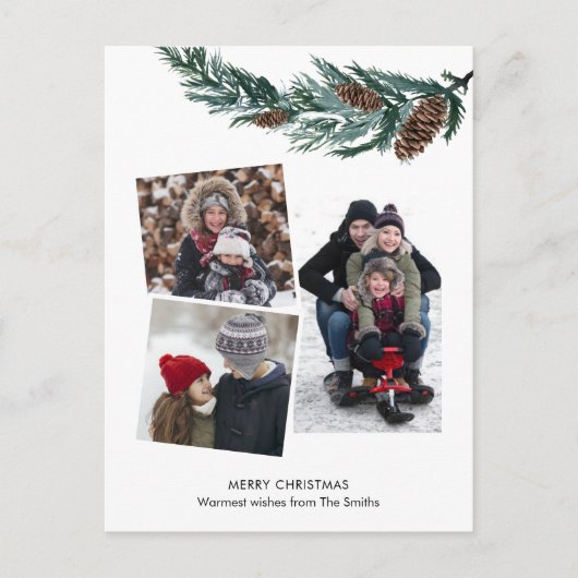 水の色の緑の素朴緑の松の円錐枝 シーズンポストカード (正面)