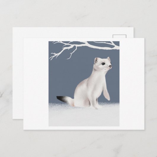 水の色の色彩の鮮やか水のイラストレーション ポストカード (正面/裏面)