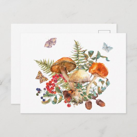 水の色の野生の森のキノコ、果実、どんぐり ポストカード (正面/裏面)