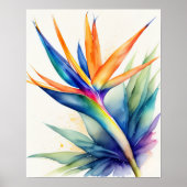 水の色の鳥パラダイス4:5ポスター ポスター (正面)