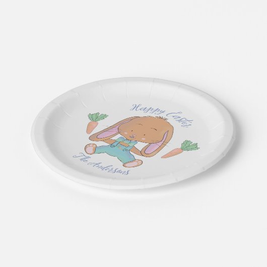 水の色イースターブラウンバニーホワイト紙プレート ペーパープレート (アングル)