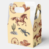 水の色ウェスタンキッドアートタン フェイバーボックス (オープン)