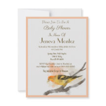 水の色ウエスタンタナガーイエローバードブランチ