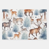 水の色ウッドランドウィムシー：穏やかなアニのメドレー ラッピングペーパーシート (正面)