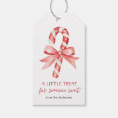 水の色キャンディーケーンクリスマス ギフトタグ (正面)