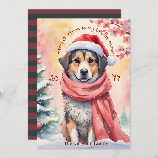 水の色クリスマス犬メリークリスマスウィッシュ シーズンカード (正面/裏面)