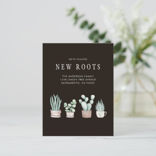 水の色サボテン私たちは新しい根を動かす植えた 案内ポストカード (スタンド正面)