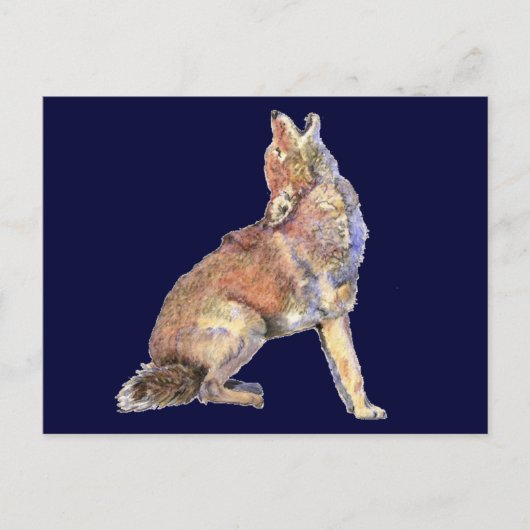 水の色ハウリングコヨーテ、動物、野生生物自然 ポストカード (正面)