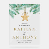 水の色パインブッシュウィンターウェディングウェルカム アクリルサイン (正面)