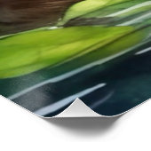 水の色ビーバーポスター ポスター (コーナー)