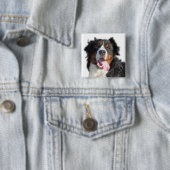 水の色ベルネーズマウンテンドッグボタン 缶バッジ (インサイチュ)