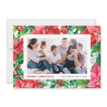 水の色ホリーとポインセチア写真クリスマス