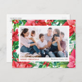 水の色ホリーとポインセチア写真クリスマス シーズンポストカード (正面/裏面)