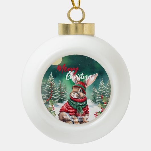 水の色モダンバニーラビットクリスマスツリー雪 セラミックボールオーナメント (正面)