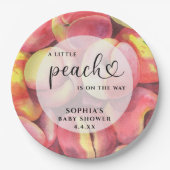 水の色リトルピーチの途中の赤ちゃんシャワー ペーパープレート (正面)