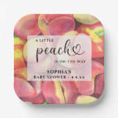 水の色リトルピーチの途中の赤ちゃんシャワー ペーパープレート (正面)