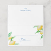 水の色レモ地中海のン結婚ズ プレイスカード (外部開封)