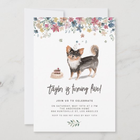 水の色ロング髪Chihuahua誕生日パーティー 招待状 (正面)
