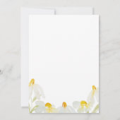 水の色ワイルドフラワーデイジーベビー発表 案内状 (裏面)