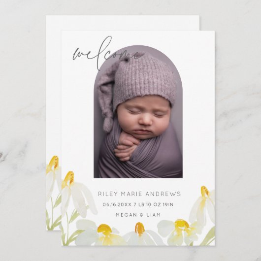 水の色ワイルドフラワーデイジーベビー発表 案内状 (正面/裏面)